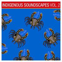 Indigenous Soundscapes, Vol. 2