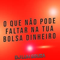 O Que Não Pode Faltar Na Tua Bolsa Dinheiro