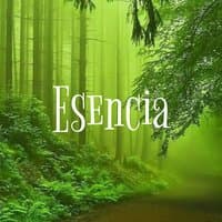 Esencia