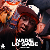 Nadie Lo Sabe