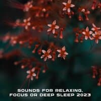 Sounds for Relaxing, Focus or Deep Sleep 2023