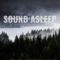 Sound Asleep: Scotland Deep Forest Evening Ambience 3