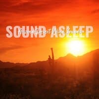 Sound Asleep: Arizona Desert Wind Sounds