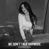 We Don't Talk Anymore