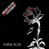 Paper Rose