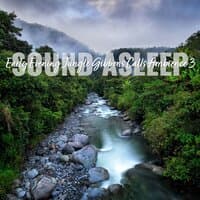 Sound Asleep: Early Evening Jungle Gibbons Calls Ambience 3