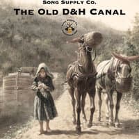 The Old D&H Canal