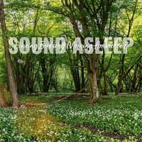 Sound Asleep: Echoing Birdsong Morning Ambience 2