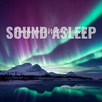 Sound Asleep: Peaceful Arctic Winter Whispers 2