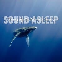 Sound Asleep: Calming Aquatic Underwater Sounds 2