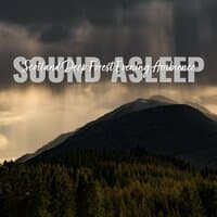 Sound Asleep: Scotland Deep Forest Evening Ambience