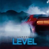 Level