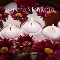 Serene Moments: Soothing Spa Music