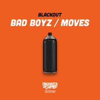 Bad Boyz / Moves