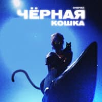 Чёрная кошка