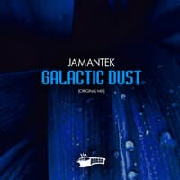 Galactic Dust