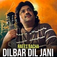 Dilbar Dil Jani