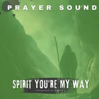 Spirit You're My Way (Prayer Sound)