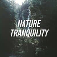 Nature Tranquility