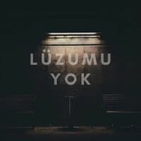 Lüzumu Yok