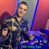 نتاع قلبي خطيرا