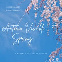 A Rebirth of Beauty Sounds - Spring