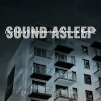 Sound Asleep: City Outskirts Neighbourhood Ambience at Night 2