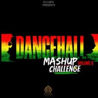 Dancehall Mashup Challenge, Vol 5