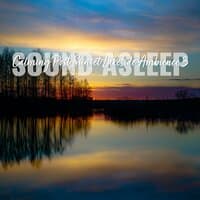 Sound Asleep: Calming Post Sunset Lakeside Ambience 3