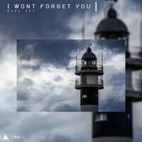 I Wont ForgetYou