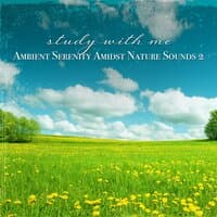 Study with Me: Ambient Serenity Amidst Nature Sounds 2