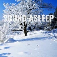 Sound Asleep: Winter Frosted Garden Wind Ambience 3