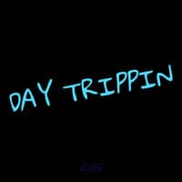 Day Trippin