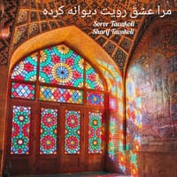 مرا عشق رویت دیوانه کرده