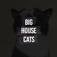 Big House Cats