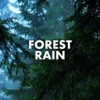 Forest Rain