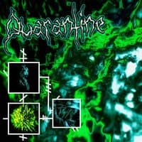 Quarantine - Accapella