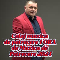 Colaj muzica de petrecere 1 ORA de Muzica de Petrecere 2024