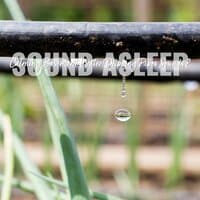 Sound Asleep: Calming Basement Water Dripping Pipes Sounds 2