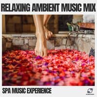 Relaxing Ambient Music Mix