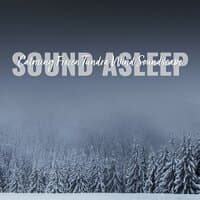 Sound Asleep: Calming Frozen Tundra Wind Soundscape