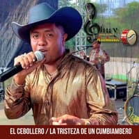 El Cebollero / La Tristeza de un Cumbiambero