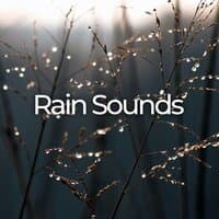 Calming Rain Sounds