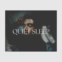 Quiet Sleep