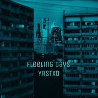 Fleeting Days