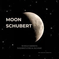 Moon Schubert -  Schubert's Lyrical Alchemy  -  New Series from Classical Hits