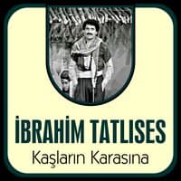 Kaşların Karasına