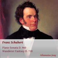 Franz Schubert: Piano Sonata D. 960, Wanderer Fantasy D. 720