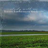 Study with Me: Peaceful Rain Sounds for Mind Resting