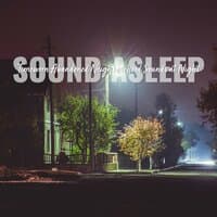 Sound Asleep: Timeworn Abandoned Neighbourhood Sounds at Night